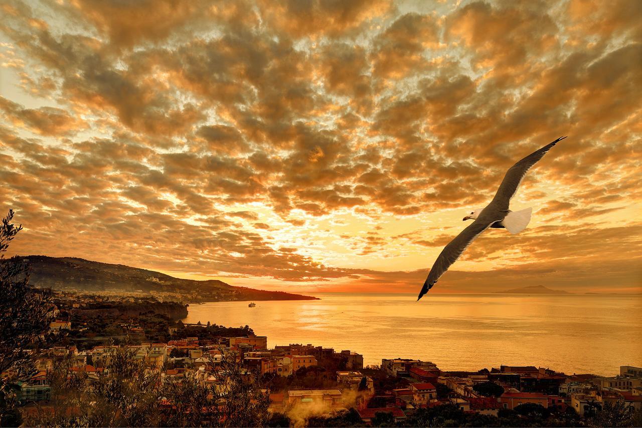 Caruso 4 By Villasandco Rentalsorrento Esterno foto